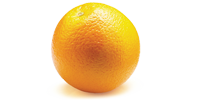 spacer-orange